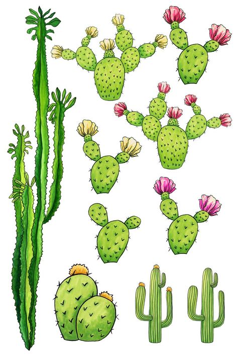 Kanvas Art, Cactus Images, Cactus Clipart, Cactus Drawing, Funny Paintings, Watercolor Succulents, Cactus Painting, Cactus Decor, Watercolor Cactus