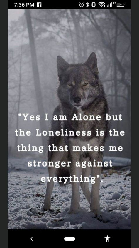 Quotes Warrior, Wolf Pack Quotes, Lone Wolf Tattoo, Inspirational Animal Quotes, Demonic Quotes, Lone Wolf Quotes, Wolf Quotes, She Wolf, Wolf Pictures