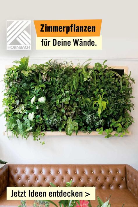 Mit einer Pflanzenwand bringst Du Grün an Deine Wände. Egal ob Pflanzenwand, Wandgarten, vertikaler Garten, oder Wandbegrünung - wir zeigen Dir, wie's geht. Und haben ganz viel Inspiration für Dich gesammelt. Jetzt Ideen entdecken! Ikea Plant Wall, Ikea Plants, Large Scale Wall Art, Indoor Plant Wall, Diy Wand, Moss Wall, Diy Basket, Ikea Diy, Home Decorating Ideas