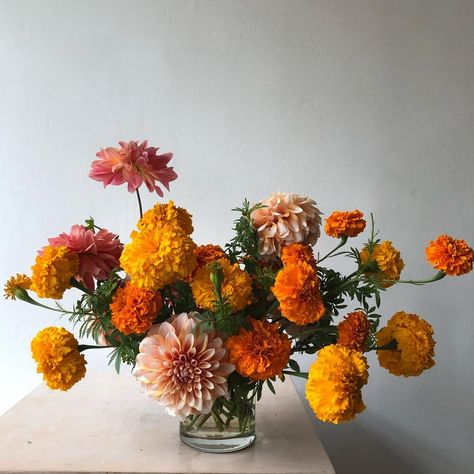 Marigold Floral Installation, Marigolds Flower Arrangements, Orange Marigold Bouquet, Marigolds Bouquet, Marigold Arrangements, Wedding Flowers November, September Florals, Marigold Flower Arrangements, Marigold Bouquet Wedding