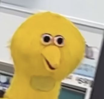 Big Bird Reaction Pic, Bird Reaction Pic, Big Bird Meme, Bird Meme, Big Birds, Woody Woodpecker, Reaction Pic, Big Bird, Profile Pic