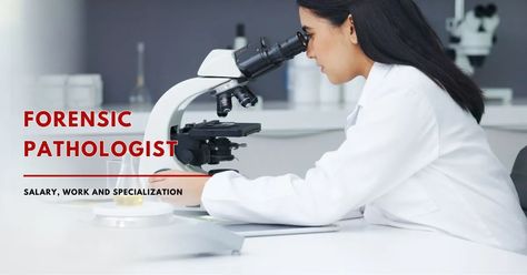 Forensic Pathologist: Salary, Work and Specialization Forensic Pathology, Justice System, Foul Play, Forensic Science, Medical Records, Forensic, Career Opportunities, Day Work, Medical