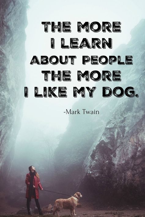 Believe it was President Truman who said, if you want a friend in Washington....get a dog. Pet Quotes Dog, Dog Quotes Love, Dog Quotes Funny, Animal Quotes, Dog Quotes, Diy Dog Stuff, Training Your Dog, A Quote, My Dog