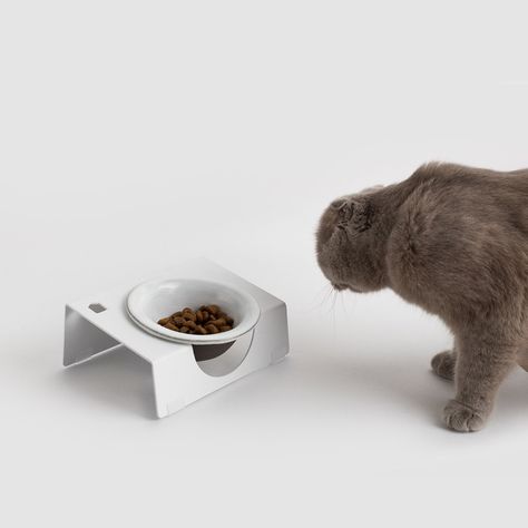 Cat Feeding Shelf, Elevated Cat Food Bowl, Cat Food Tray, Cat Furniture, Cat Shelf, Cat Feeding Station Cat Food Platform, Cat Feeding Shelf, Cat Food Tray, Raised Cat Food Bowls, Elevated Cat Food Bowl, Cat Food Station, Cute Cat Food Bowl, Cat Feeding Station, Cat Food Bowl