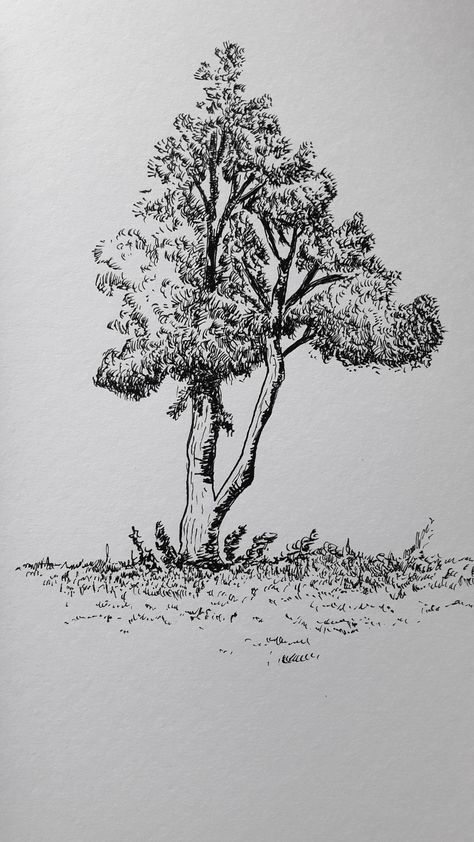 Trees Pen Drawing, Tree Pen Sketch, Trees Line Drawing, Tree Pen Drawing, Line Drawing Tree, Nature Sketches Pencil, Tree Line Drawing, Tree Sketch, Pen Art Work