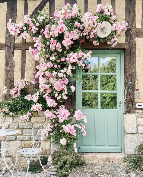 THEBEST_windowsdoors (@thebest_windowsdoors) • Instagram photos and videos Front Door Cottage, Appartment Decor, Climbing Flowers, Climbing Rose, Door Inspiration, Architecture Collage, Front Landscaping, Pink Garden, Little Cottage