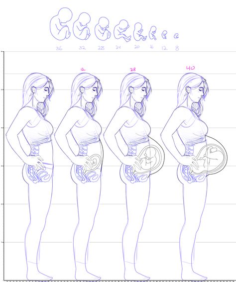 Chubby Body Reference Drawing, Pregnancy Anatomy, Pregnancy Drawing, Toddler Drawing, Anime Pregnant, Pregnancy Art, Drawing Body Poses, Woman Sketch, Body Reference Drawing