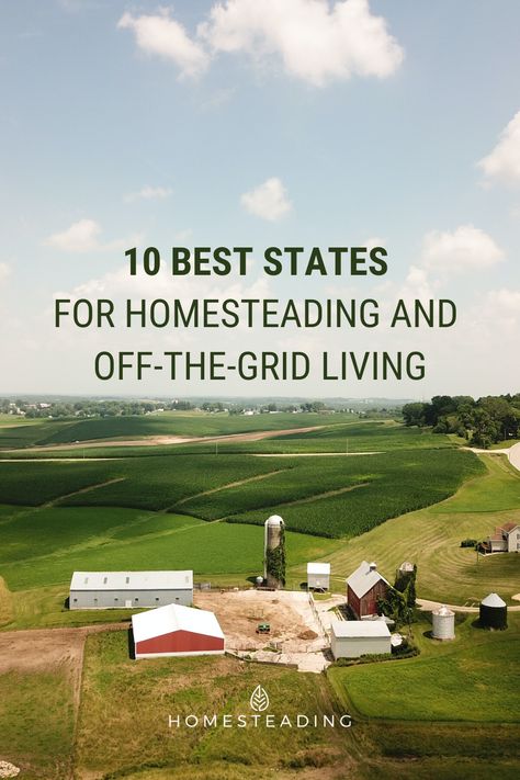 Planning to move to a new state to pursue your homesteading dreams after this pandemic? Homesteading can be done in any state if you really want to do it. But each state has its advantages and disadvantages, which is why it’s essential to know the homesteading conditions before moving and starting this challenging but fun process! Read our guide today to help you make the best decision! Starting A Farm, Homesteading Tips, Living Off Grid, Types Of Farming, Living Off The Grid, Homesteading Ideas, Going Off The Grid, Build A Greenhouse, Advantages And Disadvantages