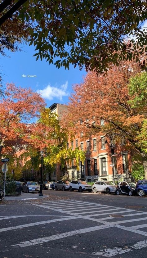 Nyc Night Aesthetic, Aesthetic With Friends, Nyc Life Aesthetic, Pics To Recreate, Fall Aesthetic Pictures, Hygge Autumn, Nyc Vibes, Studera Motivation, Herbst Bucket List