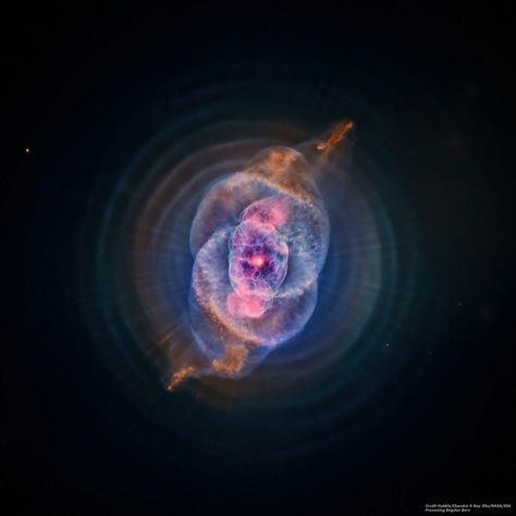 Cat's Eye Nebula, Planetary Nebula, Nasa Hubble, Galaxy Images, Hubble Images, Night Sky Photography, Galaxies Stars, Space Pictures, Look At The Stars