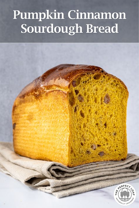 Pumpkin Cinnamon Sourdough Bread, Buttermilk Pumpkin Bread, Pumpkin Sourdough Bread, Cinnamon Sourdough Bread, Sour Dough Bread Starter Recipe, Sourdough Cornbread Recipe, Sourdough Bread Machine, Cinnamon Sourdough, Pumpkin Sourdough