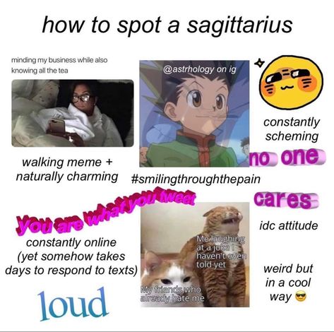 Zodiac Sagittarius Facts, Sagittarius Personality, Walking Meme, Sagittarius Astrology, Sagittarius Quotes, Zodiac Funny, Zodiac Signs Sagittarius, Infp T, Characters Inspiration Drawing