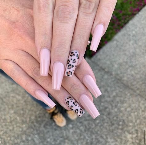 Leopard Nails Pink, Leopard Nails Designs, Nails Leopard Print, Pink Leopard Nails, Nails Leopard, Extra Long Nails, Band Nails, Leopard Print Nails, Beige Nails