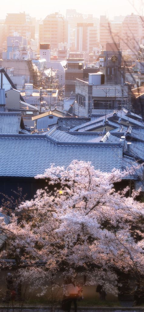 Kyoto Japan Wallpaper, Tokyo Landscape, Japan Wallpaper, Tokyo Aesthetic, Japan Landscape, Iconic Wallpaper, Abstract Wallpaper Backgrounds, Japanese Landscape, Japan Aesthetic