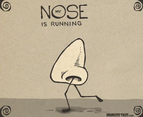 My Nose is Running Medical Puns, Punny Puns, Visual Puns, Cartoon Turtle, Adulting Quotes, Cute Puns, Funny Illustration, Old Quotes, Cartoon Jokes