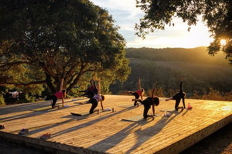 Add a little excitement to your shavasana with these far-flung yoga adventures Yoga Terrace, Yoga Village, Yoga Landscape, Forest Yoga, Yoga Platform, Yoga Garden, Forest Lodge, Yoga Outdoor, Yoga Studio Design