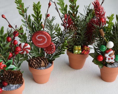 Red and Green Lollipop Centerpiece Christmas Candy | Etsy Christmas Succulents, Lollipop Centerpiece, Christmas Plants Gifts, Rustic Arrangements, Glass Pebbles, Miniature Clay, Apartment Dorm, Christmas Pots, Small Flower Pots