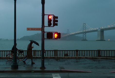 person walking near stop light #architecture #urban #city #town #men traffic lights #stop #rain #street #water #sea #bridge #lights #bicycle #path #walking #umbrella #California San Francisco San Francisco Bay #1080P #wallpaper #hdwallpaper #desktop Active Wallpaper, Ok Fine, California Wallpaper, Person Walking, Landscape And Urbanism Architecture, Cityscape Wallpaper, Screen Wallpaper Hd, 2560x1440 Wallpaper, Rainy City