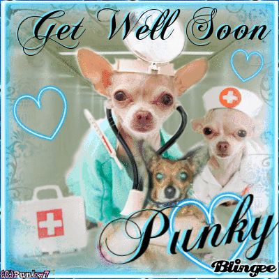 get well soon chihuahua gif | Get Well Soon Punky Good Health Wishes, Get Well Funny, Get Well Soon Funny, Feel Better Quotes, Better Quotes, Meme Reaction, Virtual Card, Silly Goofy, 3d Images