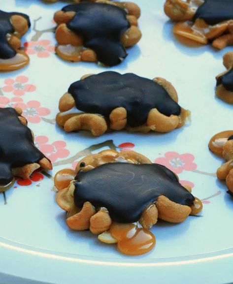 Cashew Turtles, Turtles Chocolate, Turtles Recipe, Caramel Turtles, Turtle Recipe, Cheap Recipe, Caramel Recipe, Sweet Kitchen, Homemade Graham Crackers