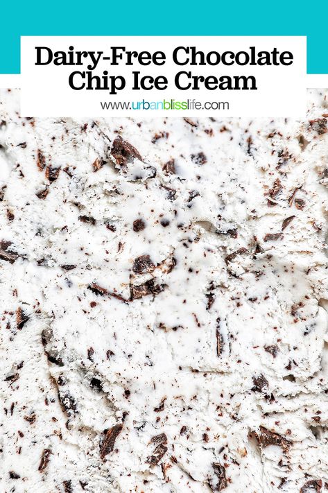 Vegan Copycat, Baskin Robbins Ice Cream, Dairy Free Chocolate Chips, Dairy Free Ice Cream, Chocolate Chip Ice Cream, Eating Ice, Baskin Robbins, Milk Alternatives, Dairy Free Milk