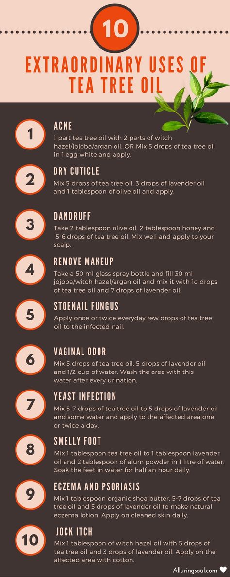 extra-ordinary-uses-oftea-tree-oil Tree Tea Oil Benefits, Benefits Of Tee Tree Oil, Essential Oils For Feet Dry Skin, What Is Tea Tree Oil Good For, Benefits Of Tea Tree Oil For Skin, Uses For Tea Tree Oil, How To Use Tea Tree Oil On Face, Tea Tree Oil On Face, Tea Tree Oil Uses For Skin