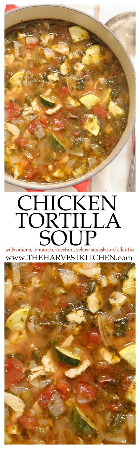 Chicken Tortilla Soup With Vegetables, Chicken Tortilla Soup With Squash, Chicken Vegetable Tortilla Soup, Chicken Tortilla Soup With Zucchini And Squash, Chicken Tortilla Soup With Zucchini, Aztec Soup Recipes Chicken, Mexican Recipes Chicken, Mexican Soups, Mexican Tortilla Soup