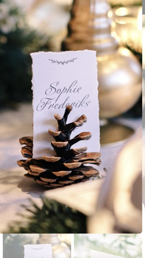 Winter Woodland Wedding Decor, Pinecone Name Holder, Pine Cone Name Card Holders, Pinecone Name Holder Wedding, Pinecone Place Cards, Pinecone Table Numbers, Pine Cone Place Setting, Winter Wedding Stationery, Alaskan Wedding