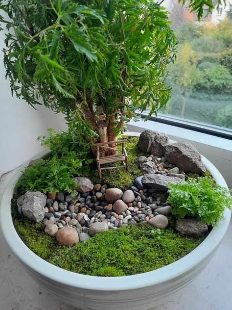 Mini Bonsai Garden Ideas, Japanese Garden Terrarium, Bonsai Miniature Garden, Miniature Fairy Gardens Terrarium, Zen Mini Garden, Mini Zen Garden Ideas, Mini Japanese Garden, Jardin Zen Miniature, Mini Jardin Zen