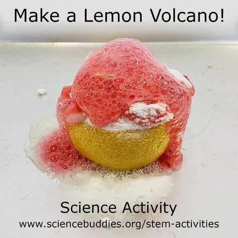 A classic #science activity -- Explore chemical reactions when you make a colorful erupting volcano with lemons and baking soda!   https://www.sciencebuddies.org/stem-activities/make-lemon-volcano?from=Pinterest  #STEM #scienceteacher #scienceactivity #scienceproject #chemicalreaction #chemistry #volcanoproject Lemon Science Experiment, Lemon Volcano Experiment, Baking Soda Volcano For Kids, Lemon Electricity Science Project, Lemon Volcano, Easy Chemical Reaction Experiments, Science Fair Ideas, Volcano Projects, Erupting Volcano