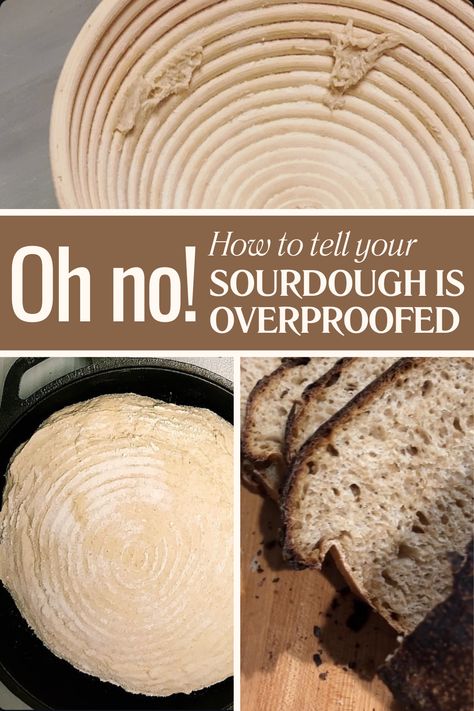 What Does Overproofed Sourdough Bread (or Dough) Look Like?  This post will explain proofing, how to identify overproofing, common mistakes, how to fix overproofed dough, and more tips to get the best results! Overproofed Vs Underproofed Sourdough, What To Do With Overproofed Sourdough, Overproofed Sourdough Recipes, Proofing Sourdough Bread, Sourdough Proofing Chart, Sourdough Mistakes, Overproofed Sourdough, Sourdough Tips, Sourdough Starters