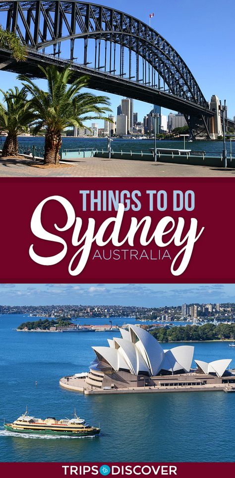 Things To Do In Sydney, Food Safety Tips, Amazing Beaches, Sydney Restaurants, Travel Tops, Arts And Culture, Organic Gardening Tips, Urban Environment, Sydney Harbour Bridge