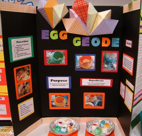 Science Fair Display Board, Science Fair Board, Science Fair Projects Boards, Science Display, 4h Ideas, Color Science, Science Fair Project, Kid Science, Lap Book