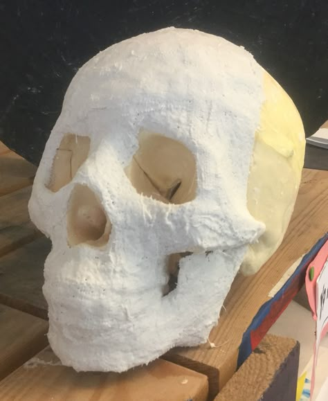 Plaster Face Mask Art Ideas, Plaster Masks Ideas, Plaster Mask Ideas, Cardboard Skeleton, Cardboard Skull, Paper Mache Skull, Plaster Mask, Plaster Gauze, Little Gifts Sorority