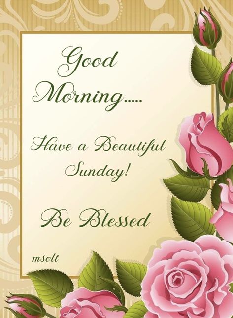 English Greetings, A Blessed Sunday, Have A Beautiful Sunday, Happy Sunday Morning, Have A Blessed Sunday, Sunday Images, Sunday Blessings, Weekday Quotes, Blessed Sunday