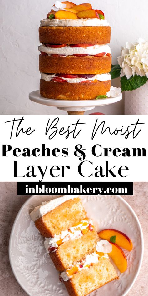 This is a moist and tender vanilla cake filled with fresh peaches and vanilla bean whipped cream topped with fresh peach syrup. Vanilla Peach Cake Recipe, Peach Chantilly Cake, Peach Cake With Fresh Peaches, Peaches And Cream Layer Cake, Peach Pie Cake, Peaches N Cream Cake, Peach Flavored Cake, Vanilla Cake With Peach Filling, Peaches And Cream Cake Filling