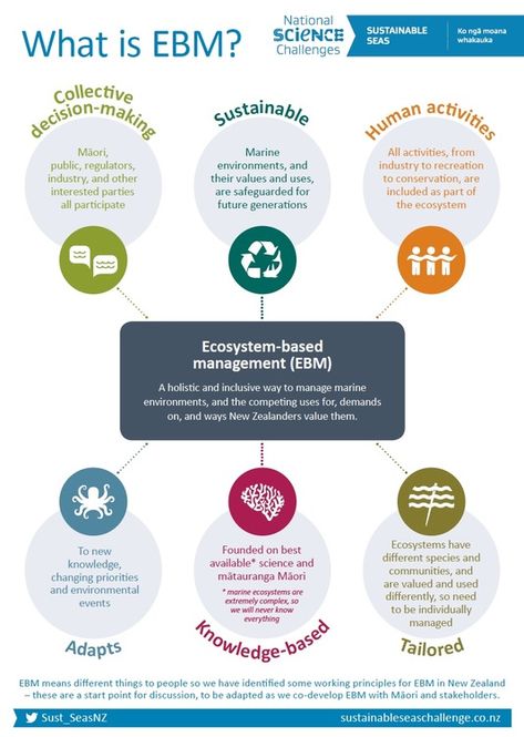 Looking at ecosystem-based management (EBM) - RESOURCE. The Sustainable Seas National Science Challenge’s vision is for New Zealand to have healthy marine ecosystems providing value for every New Zealander. It has seven research themes, and each theme supports the development of a new way to manage our marine environment called ecosystem-based management (EBM). Geography Revision, Study Info, Natural Resource Management, Artificial Reef, Marine Ecosystem, Marine Environment, Resource Management, Research Projects, Student Activities