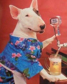 Spud Mckenzie Dog, Beer Poster, English Bull Terriers, English Bull, Bud Light, Bar Sign, 90s Kids, Framed Poster, Vintage Poster