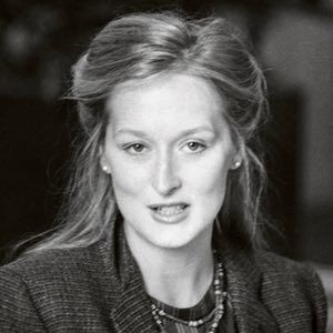 Johns’s 1980 portrait of Meryl Streep Meryl Streep Movies, Kramer Vs Kramer, Dustin Hoffman, Classic Portraits, Margaret Thatcher, George Carlin, Image Film, Big Little Lies, Katharine Hepburn