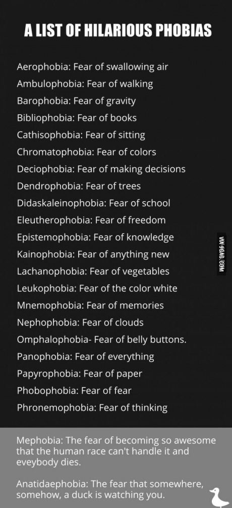 Apparently these exist. Fear Of School, Weird Fears, Phobia Words, Script Writer, Interesting English Words, Writing Dialogue, Rare Words, Book Writer, Learn English Vocabulary