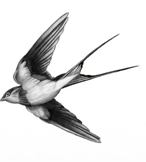 Swallow Tattoo Design, Dove Tattoo Design, Idea Tattoo, Dove Tattoo, Swallow Tattoo, Line Tattoos, Tattoo Stencils, Tattoo You, Tattoo Drawings