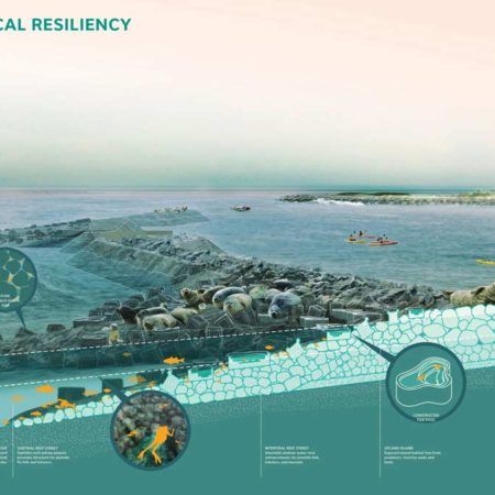 SCAPE « Landezine International Landscape Award LILA Coastal Landscape Design, Urban Diagram, Waterfront Design, Site Development Plan, Architecture Technology, Studio Drawing, Green Infrastructure, Good Readers, Landscape Architecture Design