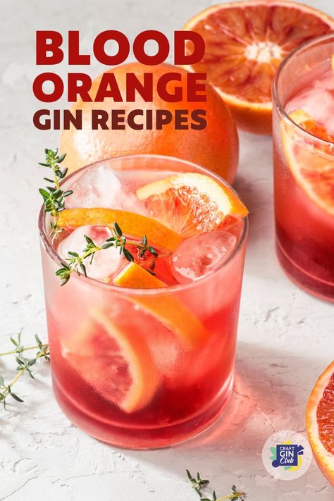 Orange Gin Drinks, Orange Gin Cocktail Recipes, Red Gin Cocktails, Gin Orange Cocktails, Blood Orange Gin Cocktail, Gin Mixed Drinks, Gin Ideas, Prosecco Cocktail Recipes, Blood Orange Recipes