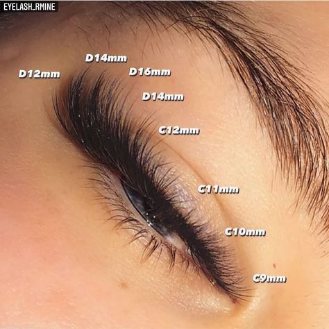 Volume Eyelashes, Cat Eye Look, Evening Eye Makeup, Lash Mapping, Lashes Fake Eyelashes, Classic Lashes, Eyelashes Extensions, Eyelash Technician, Cat Eye Lash