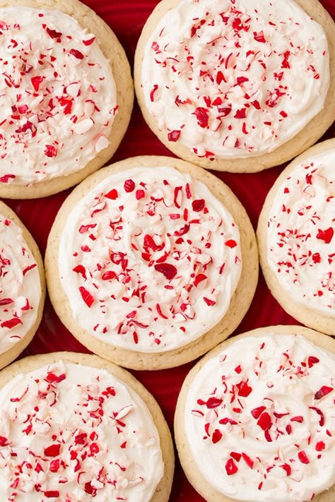 Peppermint Frosting Sugar Cookies are the perfect Christmas cookies with a sugar cookie base and cream cheese peppermint frosting. Sugar Cookies With Cream Cheese, Peppermint Recipes Desserts, Peppermint Brownie Cookies, Sugar Cookie Recipe For Decorating, Cookies With Cream Cheese Frosting, Chocolate Sugar Cookie Recipe, Peppermint Dessert, Cookies With Cream Cheese, Peppermint Sugar Cookies