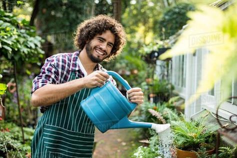 Portrait of confident male gardener watering potted plants at greenhouse - Stock Photo - Dissolve Watering Plants Reference, Man Gardening, Male Gardener, Gardener Portrait, Person Watering Plants, Woman Watering Plants, Avocado Plant, Avocado Tree, Garden Irrigation