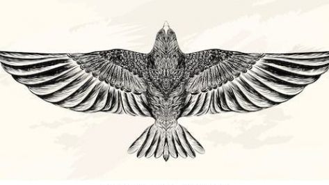 Tattoo Line Art, Hawk Tattoo, Tattoo Line, Art Vector Illustration, Bird Sketch, Eagle Tattoos, Line Art Vector, Eagle Tattoo, Grunge Background