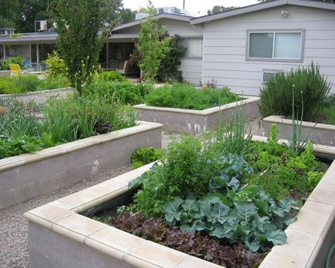 idea for color of border- might look nice against the redish mulch and back raised bed Outdoor Raised Garden Beds, Raised Garden Bed Plans, Raised Bed Garden Design, Cinder Block Garden, Metal Raised Garden Beds, Vegetable Garden Raised Beds, Garden Layout Vegetable, Building A Raised Garden, Concrete Block