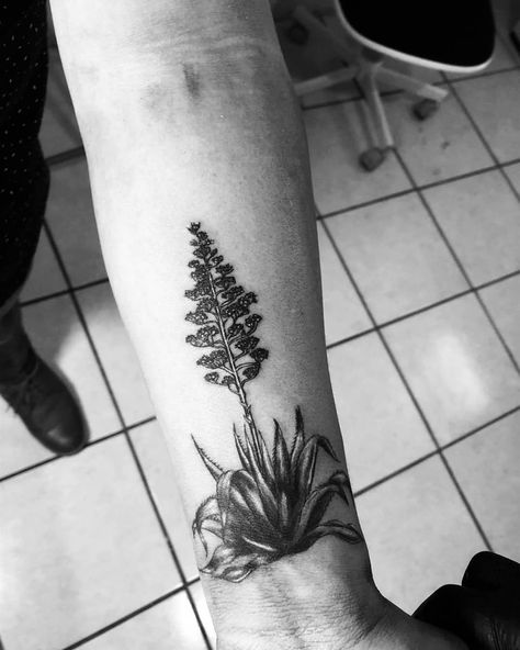 Jt tattoo oaxaca on Instagram: “✴️Agave✴️ . . @eztattooing @soulflower_tattoo_supply @inkjectapro @hustlebutterdeluxe @silverbackink . . #tattoo #tatuajes #tattoos…” Yucca Plant Tattoo New Mexico, Yucca Tattoo, Oaxaca Tattoo, Jt Tattoo, Agave Tattoo, Bloom Tattoo, Sick Tattoos, Tattoos Inspo, Yucca Plant