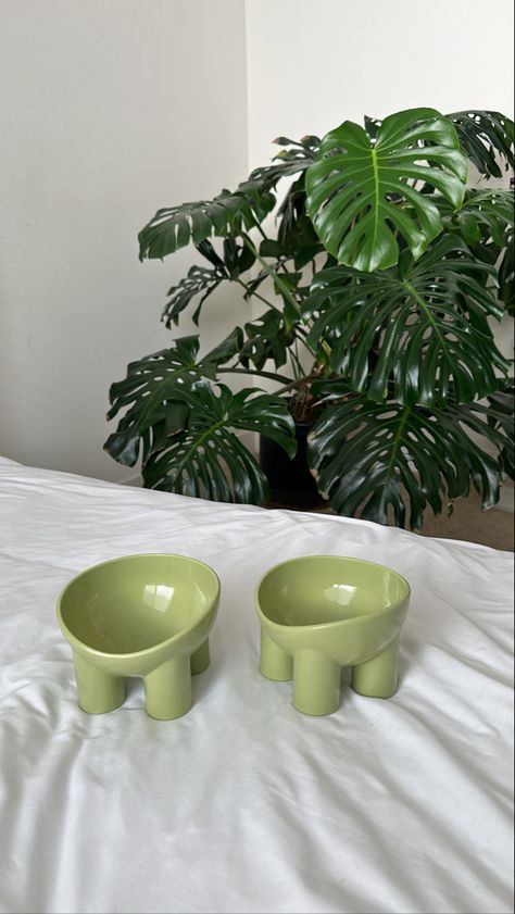 Aesthetic Cat Bowls, Cat Bowls Aesthetic, Aesthetic Cat Supplies, Cute Cat Bowls, Aesthetic Cat Toys, Aesthetic Cat Stuff, Cozy Apartment Decor, Diy Chat, Pet Branding